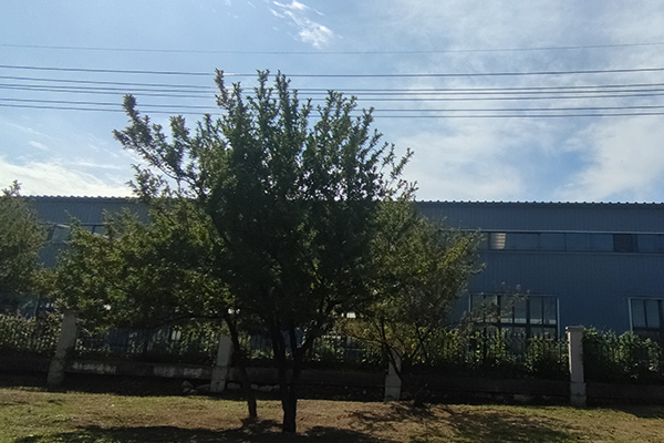 對(duì)于撫順鐵嶺沈陽彩鋼廠房的加工質(zhì)量檢測至關(guān)重要 對(duì)于撫順鐵嶺沈陽彩鋼廠房的加工質(zhì)量檢測至關(guān)重要